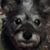 Purdandra Jean's profile image