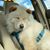 Jerry Merchan's profile image
