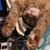 Missy Lawler Coyle's profile image