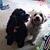 Diane E Schoppe McCue's profile image