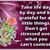 Betty Townsend's profile image