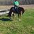 Dennis Brunkhorst's profile image