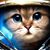 Don Selasco's profile image