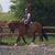 Coralie Wigg's profile image