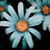 Lori Spaulding Lopez's profile image