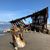 Elaine Leedy Stull's profile image