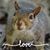 Lynn Shepherd Landberg's profile image
