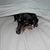 Sharney Camm-Hoza's profile image