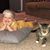 Nichole RaeLynn Jonas's profile image