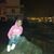 Casandra Corrales Diaz's profile image