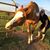 Catharine R Van Dorn's profile image