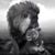 Jazzyass J Rockwell's profile image