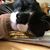 Joy Peters's profile image