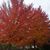 Eileen Maxfield's profile image