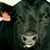 Carol Ridinger's profile image