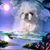 Kim Wilson's profile image