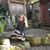 Brigitte Bokor's profile image