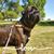 Missy Sutherland Cadwell's profile image