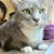 Lisa Weiser's profile image