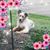 Michelle Eller McKim's profile image