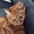 Theresa Ann Fergon Haigh's profile image