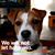 Sandy Tavelli's profile image