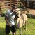Luis Larrea's profile image