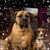 Theresa A Bushey's profile image