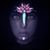 Iliana Iveth Ibarra's profile image