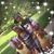 Anissakhamarikarliekylie Stocks's profile image