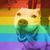 Teresa Groat's profile image