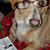 Terry Plankel's profile image