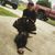 Travis Brandon Ward's profile image