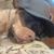 Tony Aiello's profile image