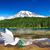 Donna J. Hansen's profile image