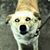 Fred Kosanke's profile image
