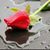 Abdallah Belahouel's profile image