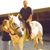 Brian Greenberg's profile image