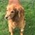 Jeannine Buturla Hahn's profile image
