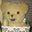 Stephanie Wells's profile image