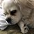 Myrna Halladay's profile image