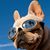 Jason Shell's profile image