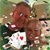 Terry Weyman Hanson's profile image