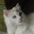 Mary Boklewski Izak's profile image