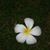 Keith Romer's profile image