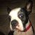 Steve LaBelle's profile image