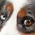 Art Meripol's profile image