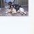 Denise Schweinsberg's profile image