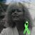 Amy Lubbers Sanders's profile image