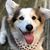 Pam Finan's profile image